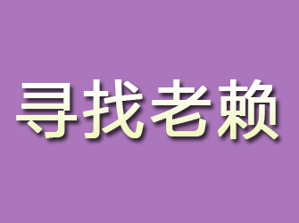 平湖寻找老赖